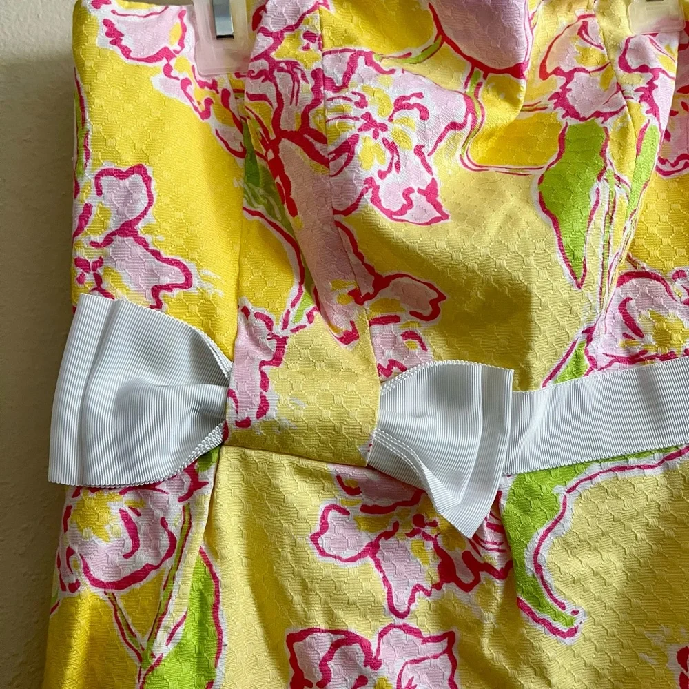 Lilly Pulitzer Amberley Dress - Picture 5 of 13